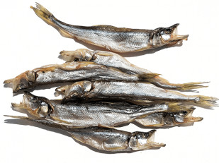 Уклейка вяленая: Корюшка (мелкая) вяленая (Камчатка)